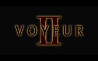 Voyeur II 截图