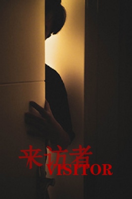 来访者