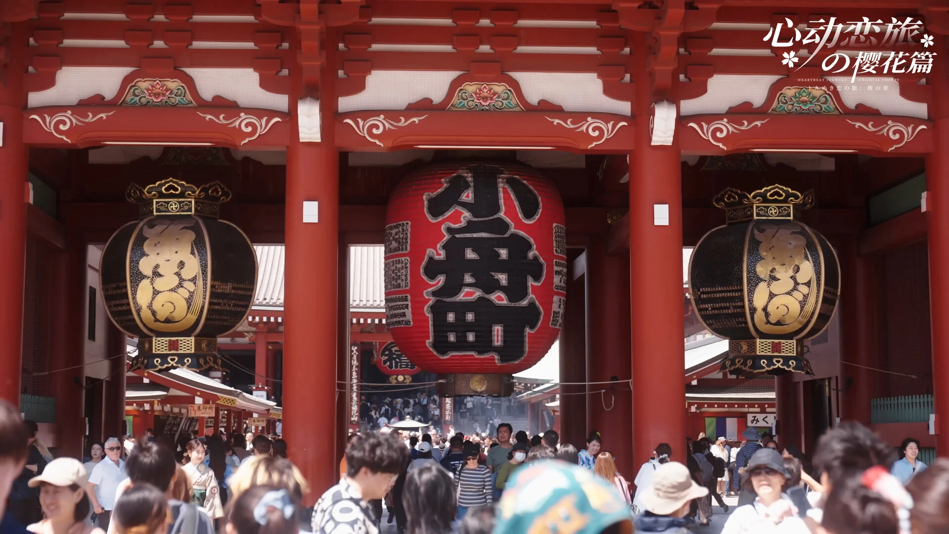 心动恋旅:樱花篇 截图