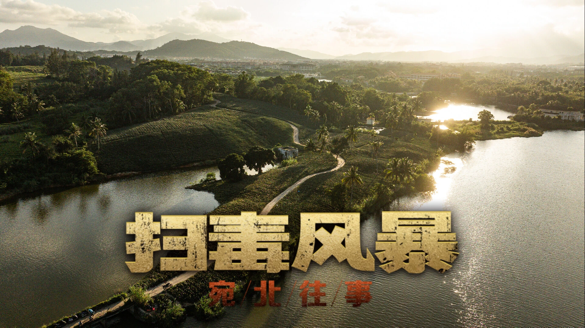 扫毒风暴:宛北往事 截图