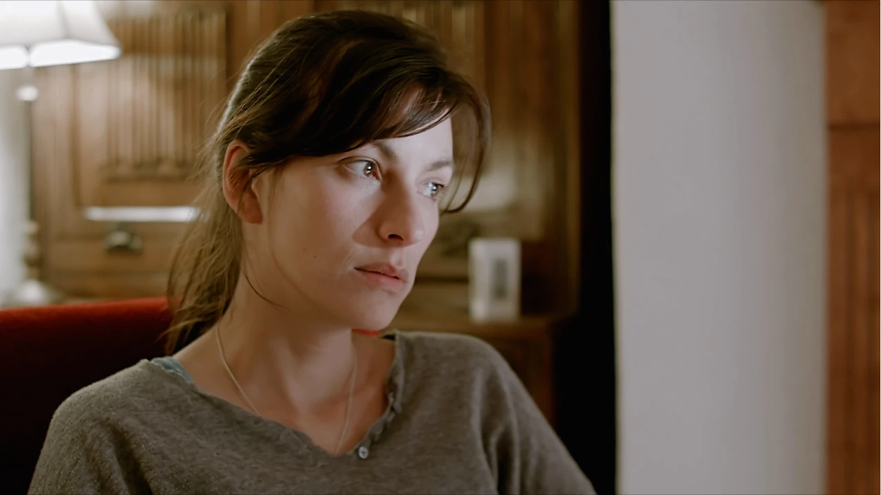 Contradiction: Spot The Liar 截图