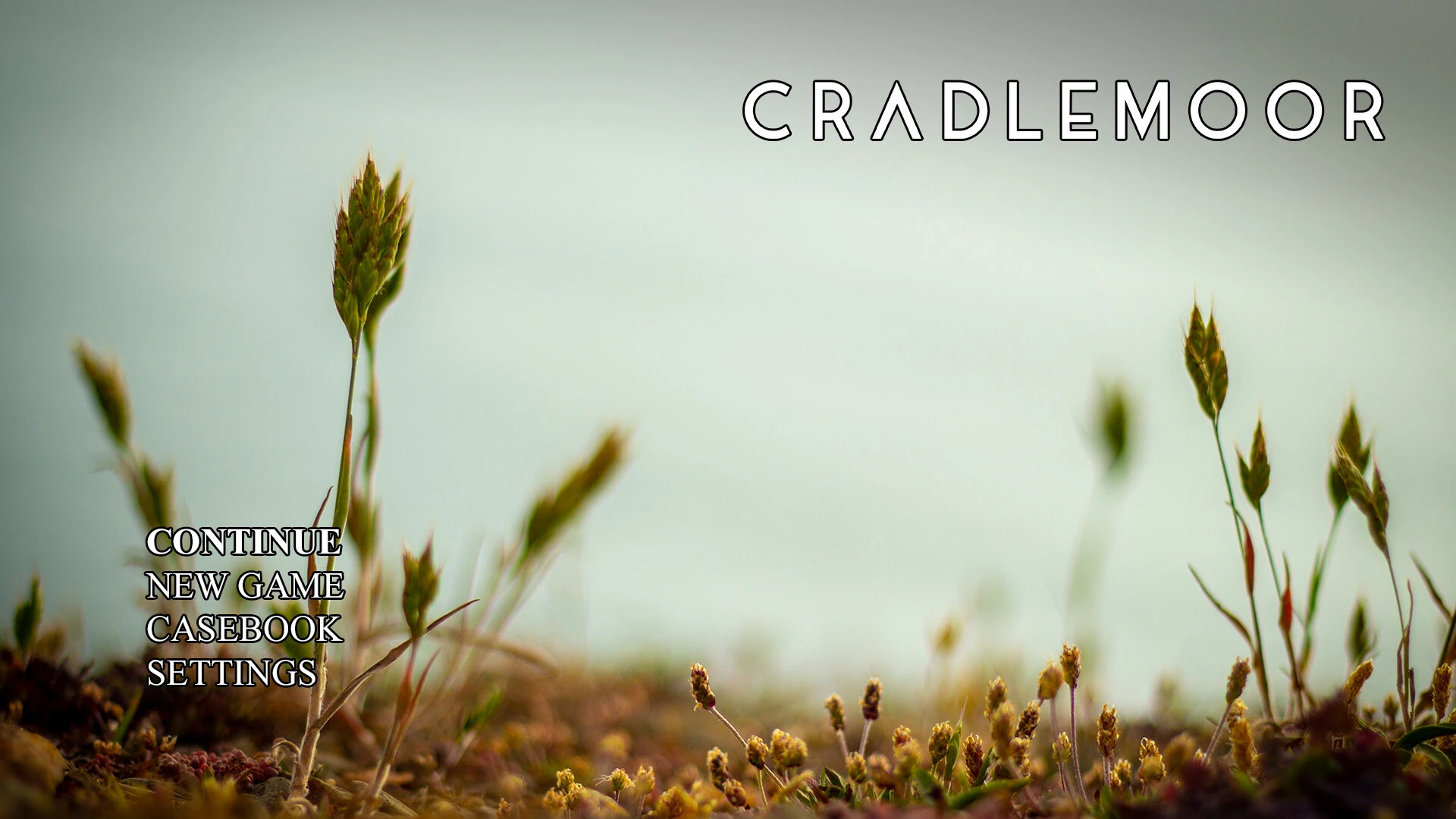 Cradlemoor 截图