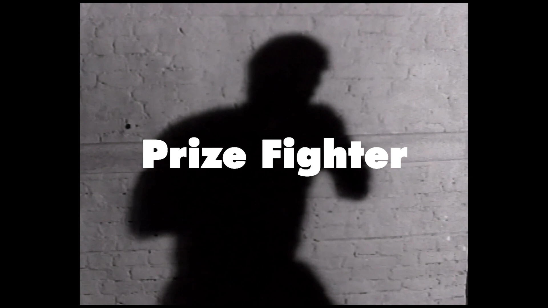 Prize Fighter 截图